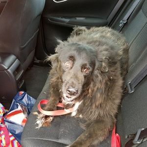 Meet your Posher, April